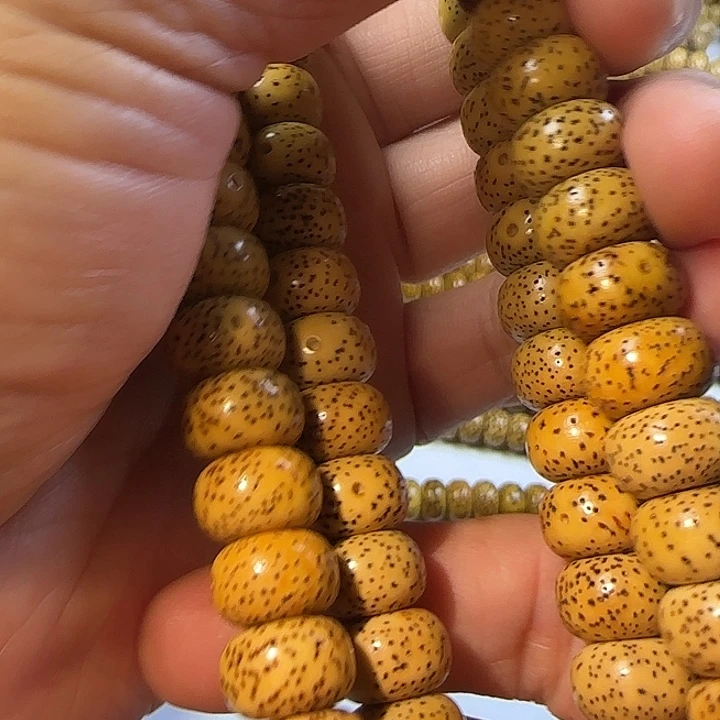 老脱脂星月菩提112
