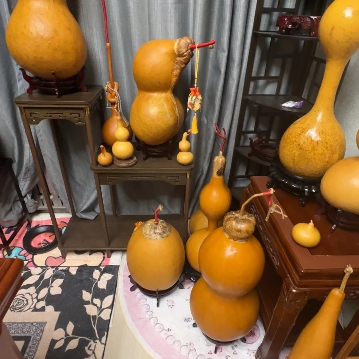 *****精品课程建设和课程开发