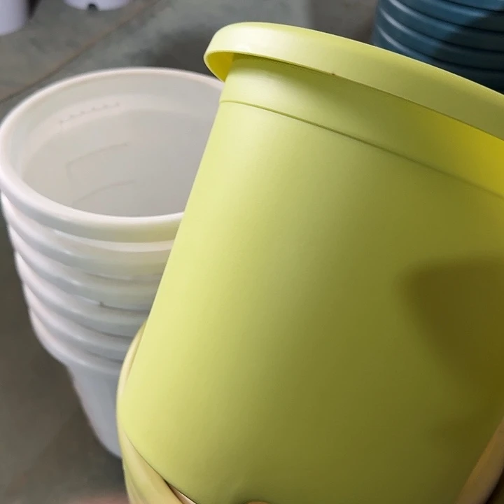 四季4号果绿无托8个特价微瑕