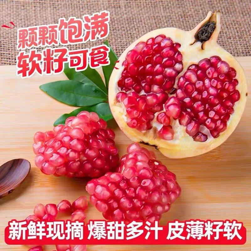 【带箱5斤】四川突尼斯软籽石榴300-500g精品大果 坏果包赔