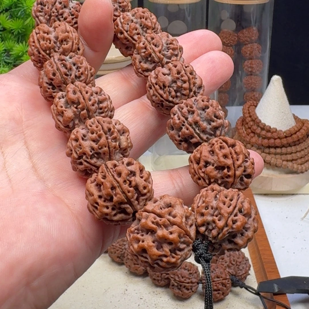 默***金刚菩提手串大粗筋