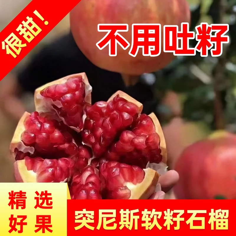 四川会理突尼斯软籽石榴当季新鲜孕妇水果无籽甜石榴不吐籽整箱