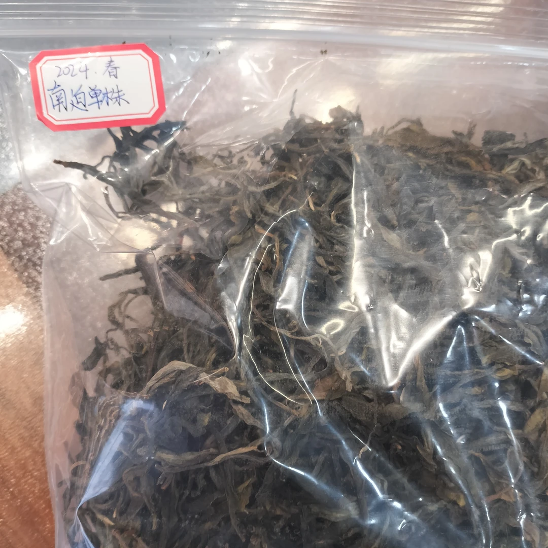 2024年南迫单株春茶散茶