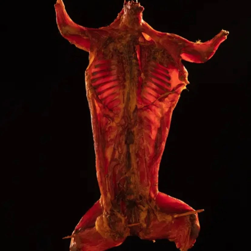 湖南邵阳农家土特产柴火烟熏腊兔