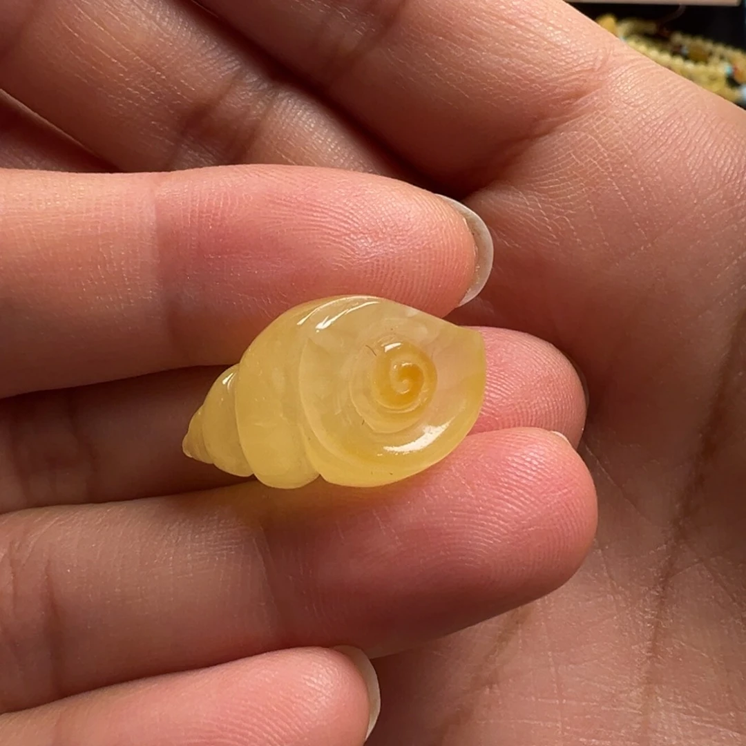 蜜蜡颈饰未镶嵌海螺（打孔不退换）