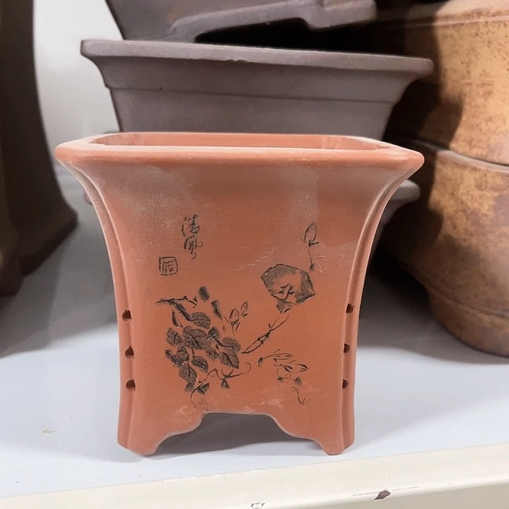 紫砂花盆这个月我就没