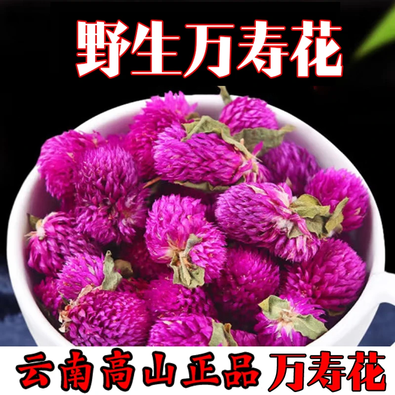 云南边境山货正品高原采摘正宗泡水养生官方正品云南万寿花野生