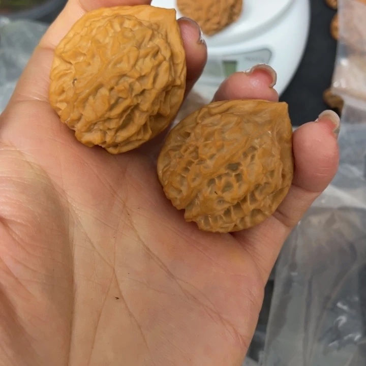 核桃把件秦岭核桃研究所研究鸡心