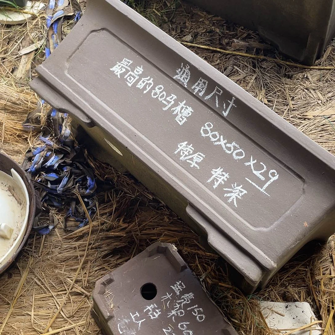 特价处理紫砂一只