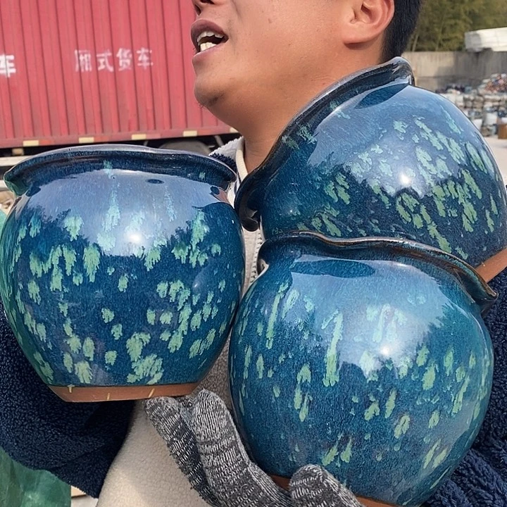 红陶正品高15口16左右