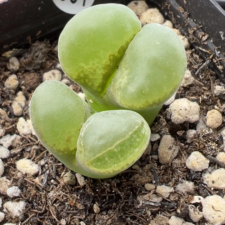 561好11111111111111111