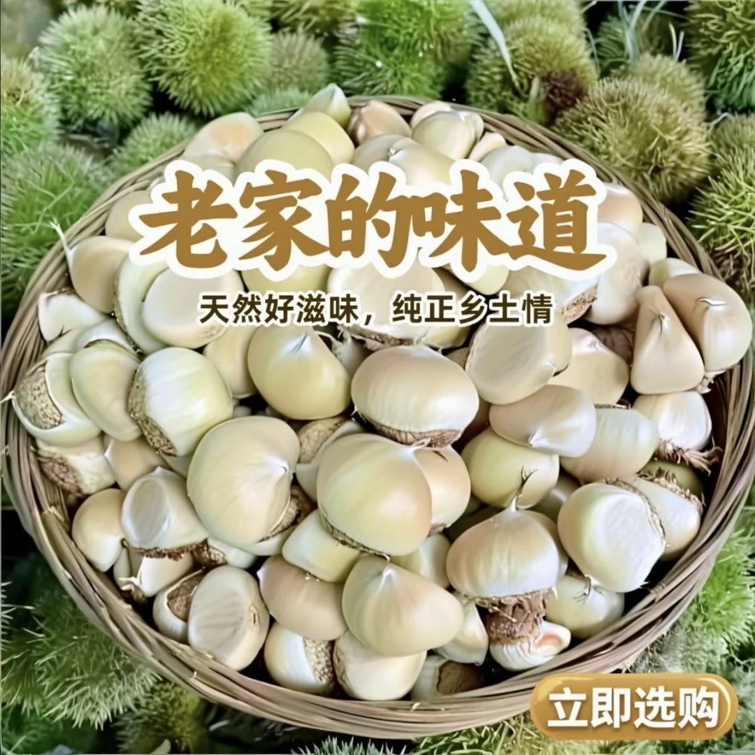 2025年潜山新鲜嫩板栗高山老树鲜甜新上市现摘发货