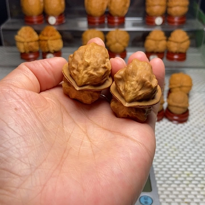 把件文玩核桃48蝗虫精
