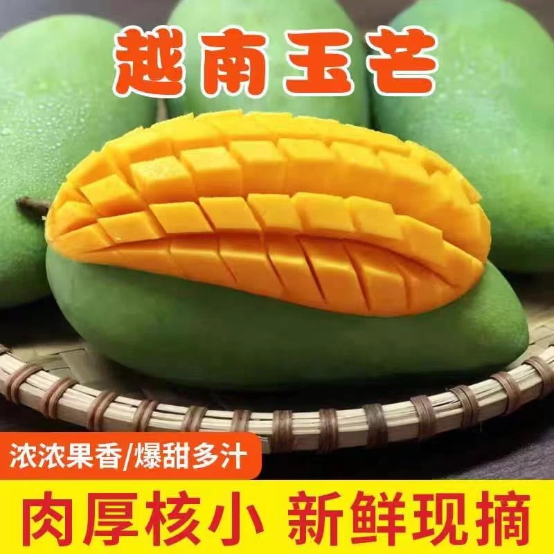 【九木专属】玉芒香甜多汁新鲜水果当季精选带箱3斤