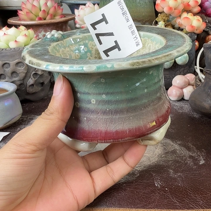 重庆小燕子欢迎大家171