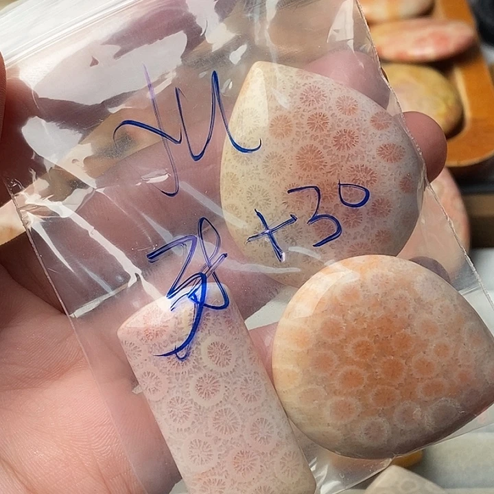 ****u硅化珊瑚未镶嵌颈饰