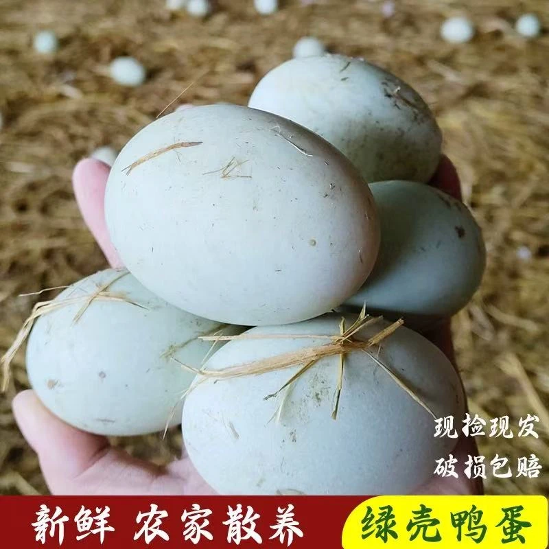 农户散养粮食喂食麻鸭鲜鸭蛋【顺丰包邮】