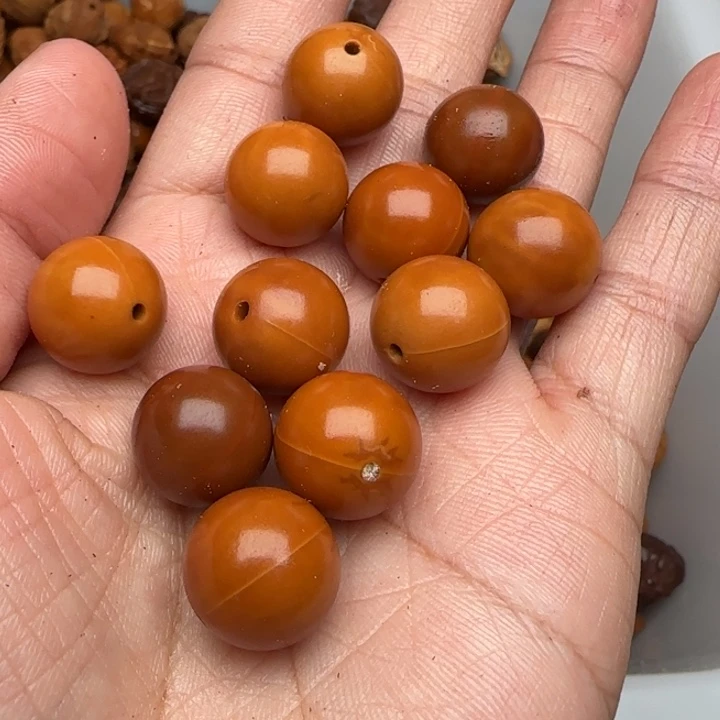 吊坠橄榄核橄榄菜洗干净
