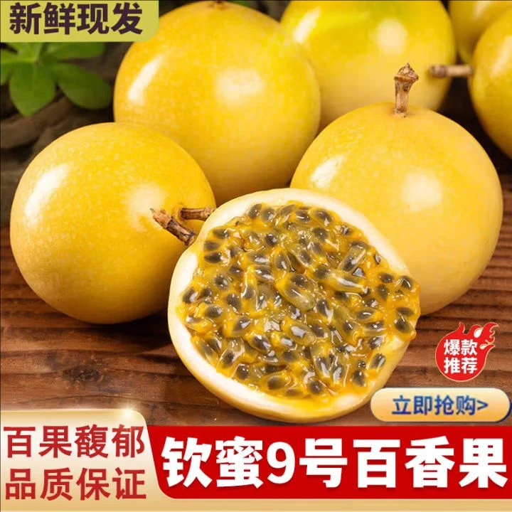 广西钦蜜9号黄金百香果鲜甜饱满多汁当季水果坏果包赔