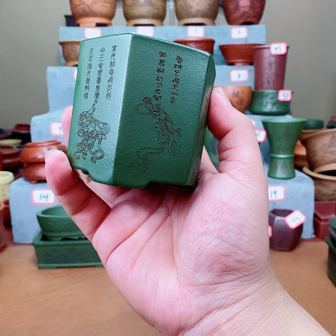 紫砂花盆我在看书