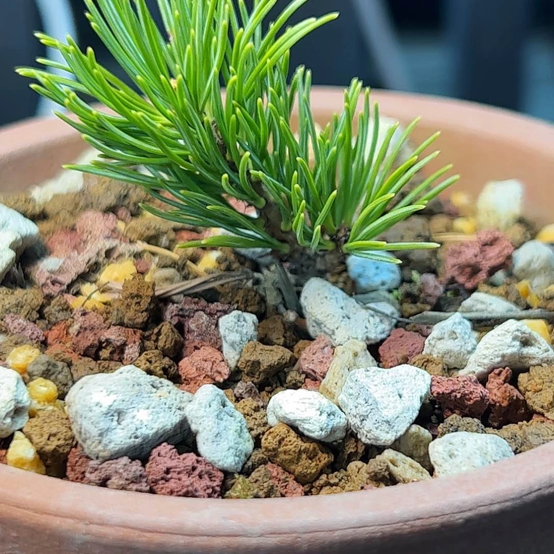 健健康康平平安安快快乐乐