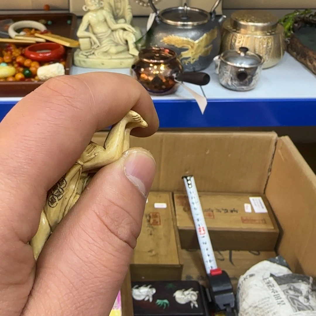 茶宠我们的生活是这样的