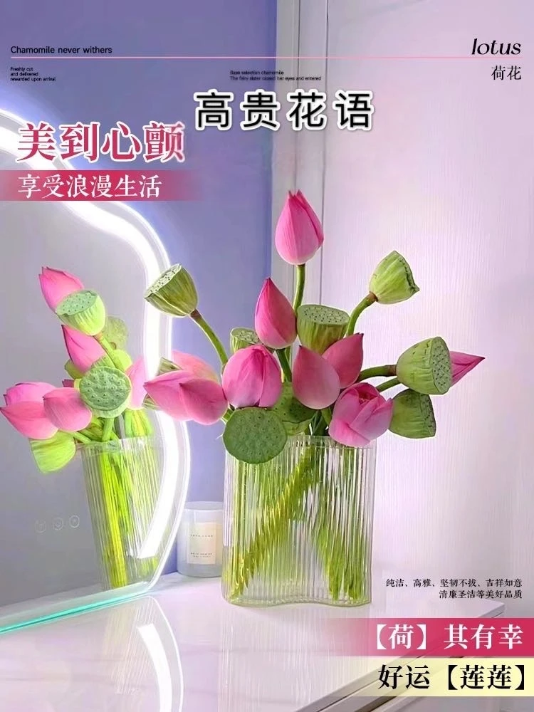 鲜花莲花鲜切花佛用莲蓬装饰婚礼基地直发顺丰包邮