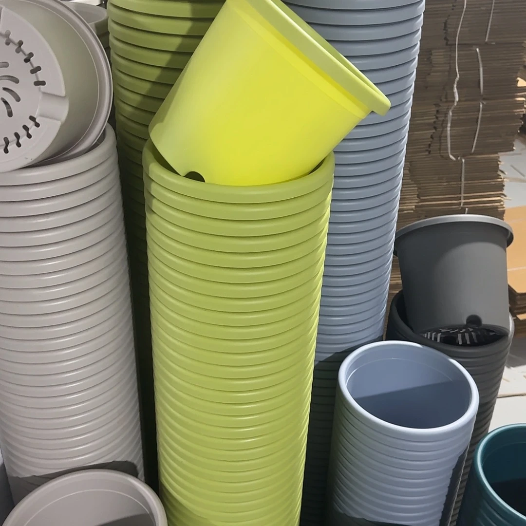 微瑕4号8个无托，果绿