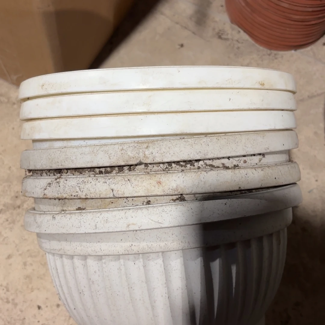 白色聚宝盆240口径发7个