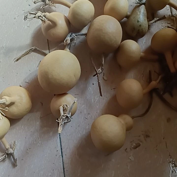 家****！文玩葫芦，瑕疵葫芦