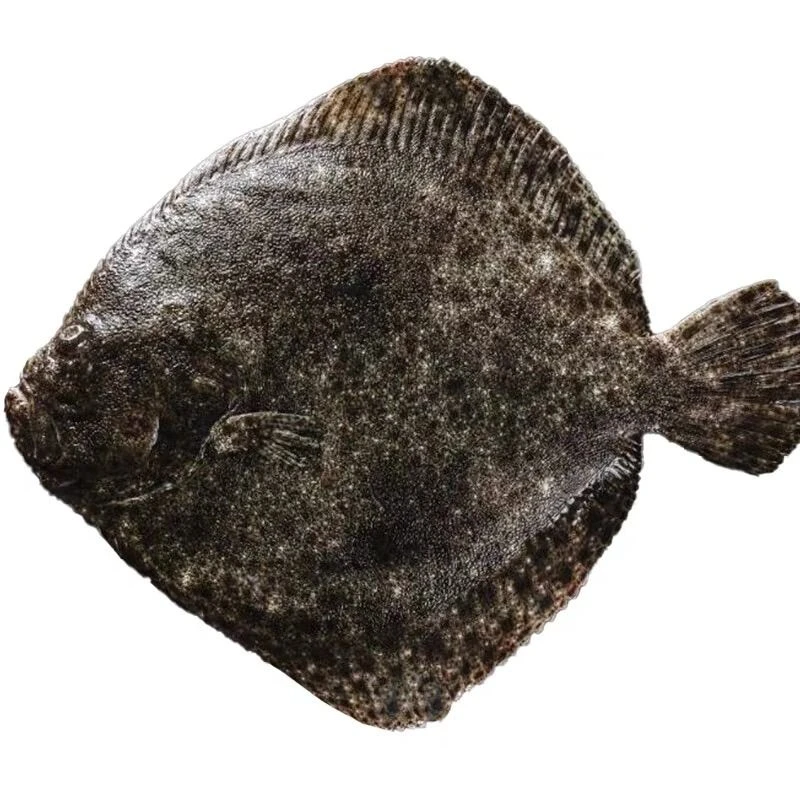 多宝鱼 约750g/条