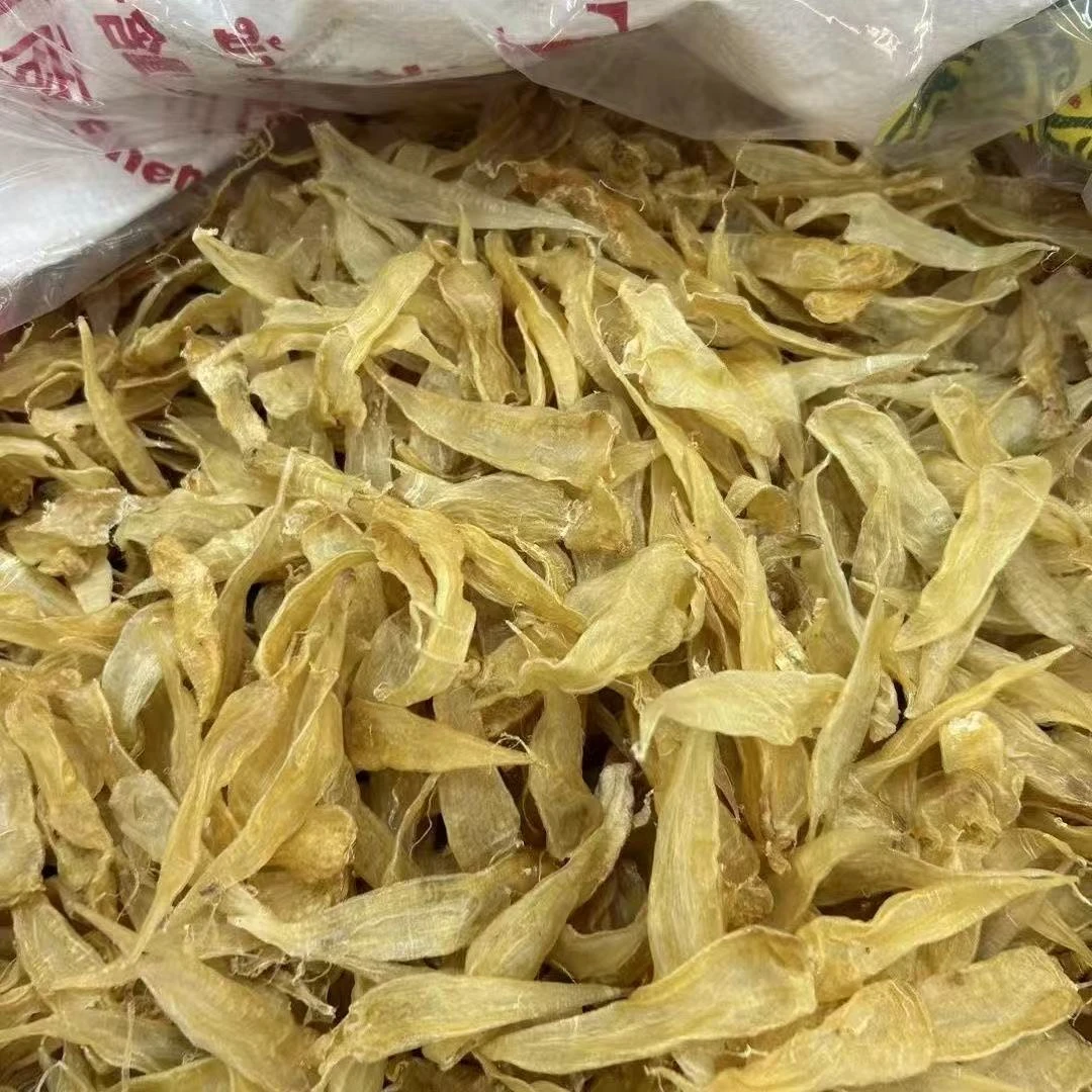 精选优质豆仁干货中大头鱼胶