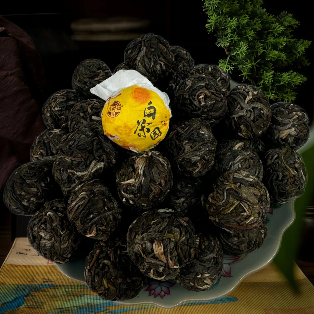 古树翎【丹凤朝阳】白茶园生茶8克（龙珠）
