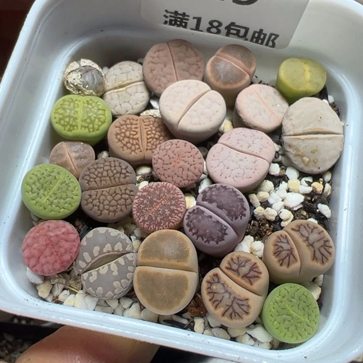 【闪购商品】 829。
