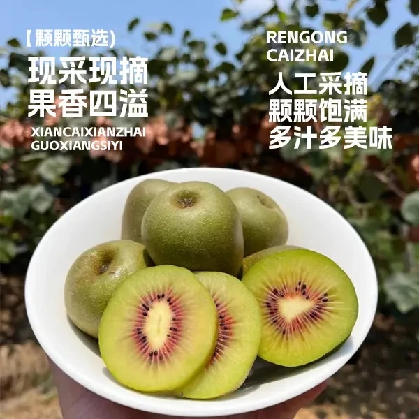 广西乐业大果红心新鲜水果乐业红心猕猴桃