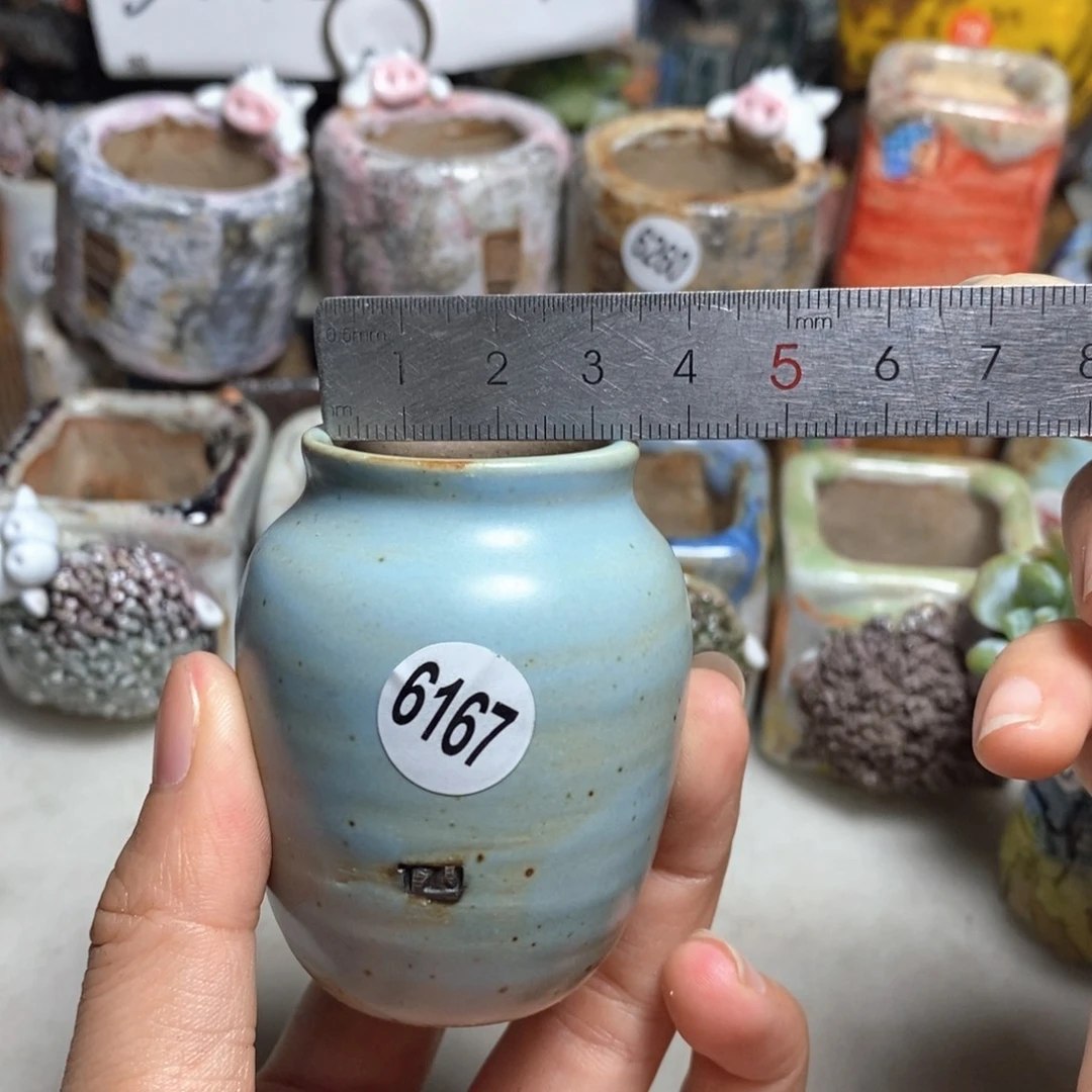 拍5送一个小礼物