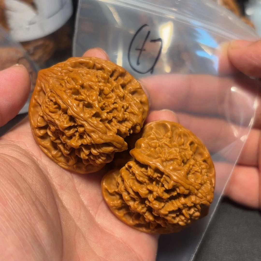 核桃其他满天星的