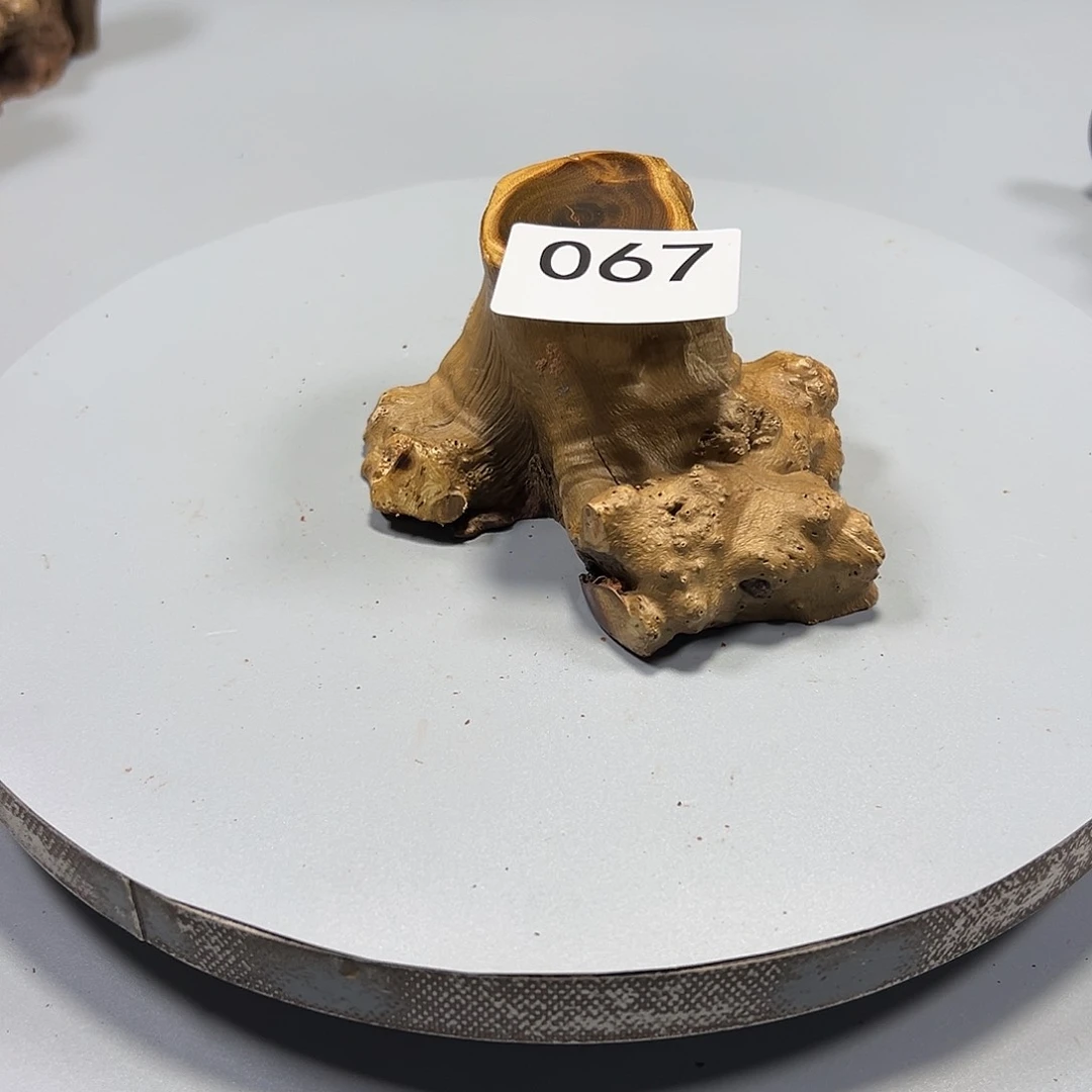 大果紫檀（缅甸花梨）快**唱