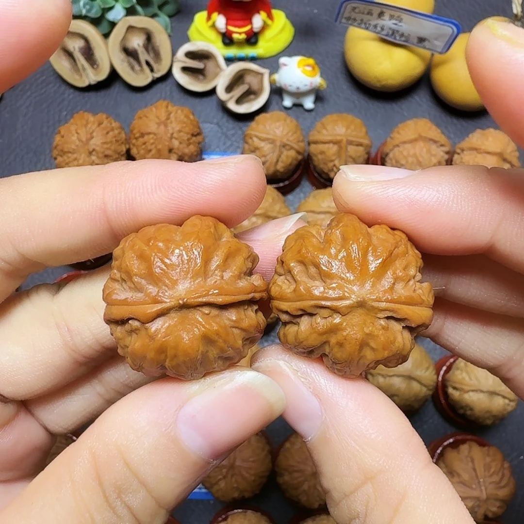 把件文玩核桃26尺矮桩焖尖霸王龙001
