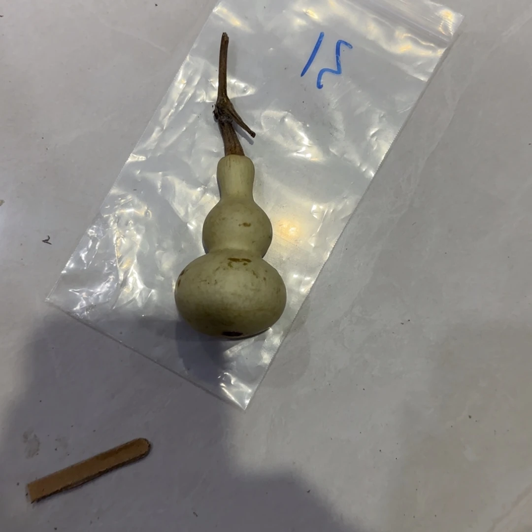 理***感青皮不包成青皮不包成