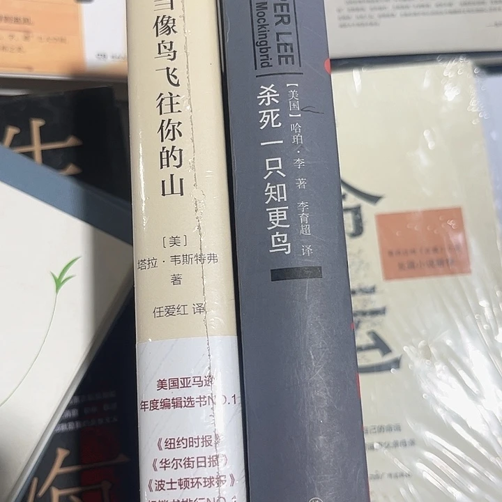 当鸟，知更鸟全新精装