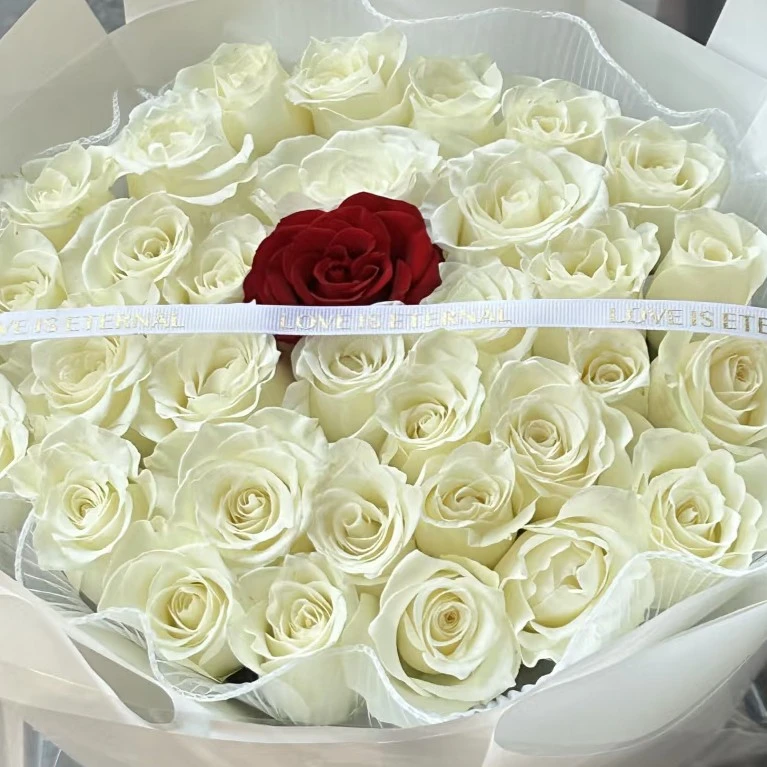 白月光与朱砂痣送对象