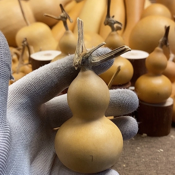 文玩葫芦 完美主义者 慎拍7