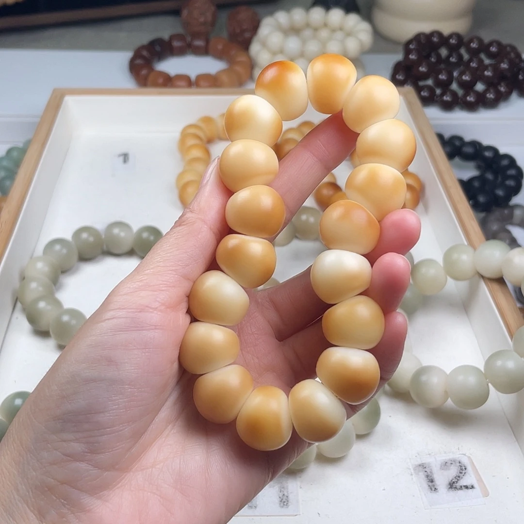 手串菩提根/象牙果干磨蒜瓣大肠手串