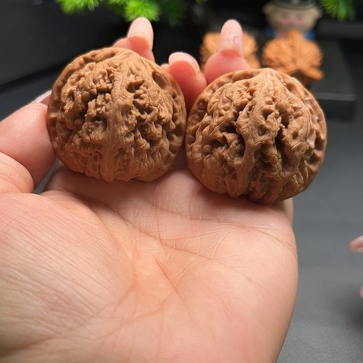 核桃42大粗筋全品