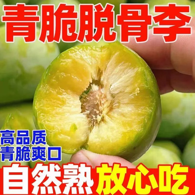正宗农家脱骨李青脆李青脆酸甜多汁新鲜水果包邮多仓发货