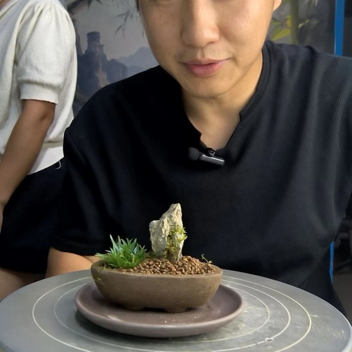 明****了中青园艺一物一拍136