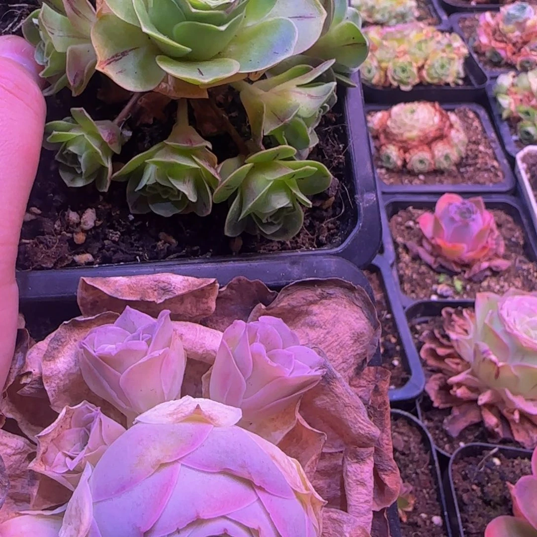 福利1585354385555555555588