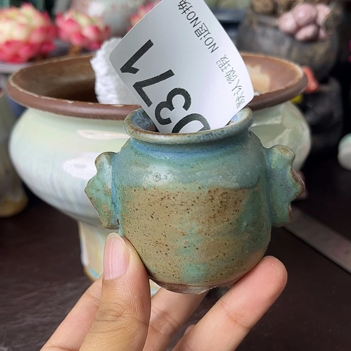 重庆小燕子欢迎大家371