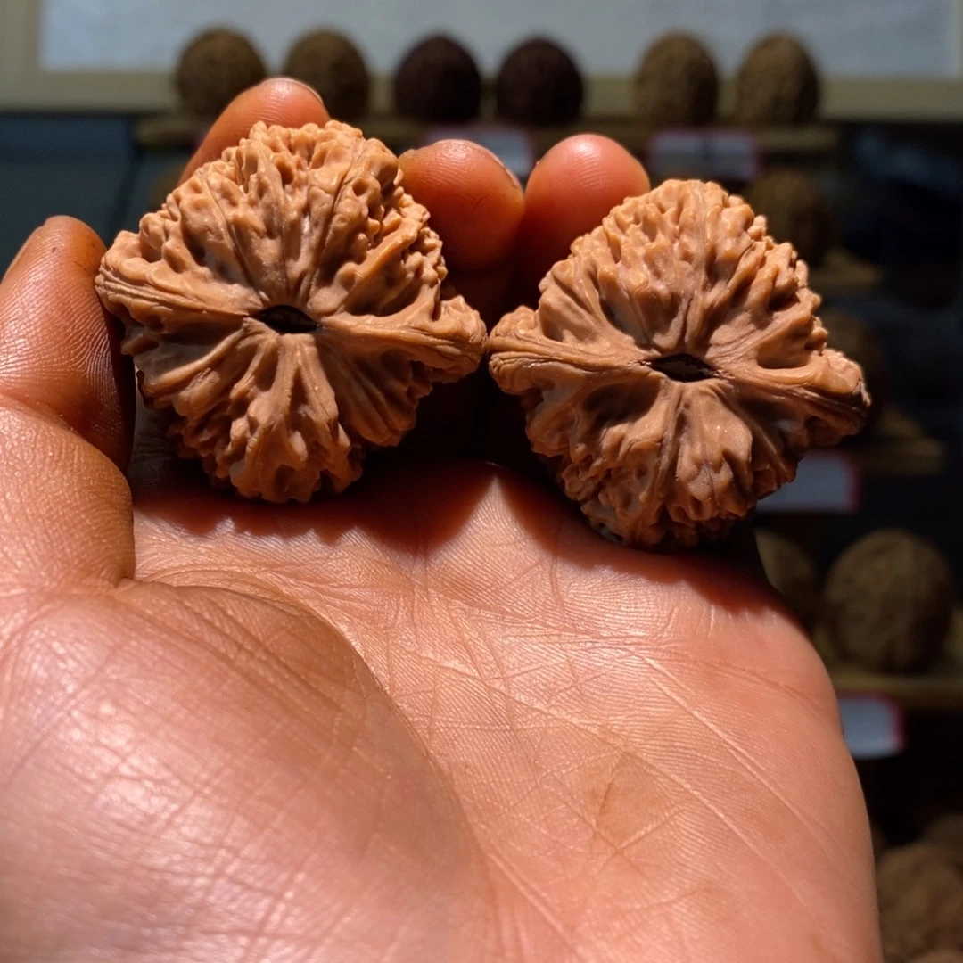 等***登南将石文玩核桃三角41